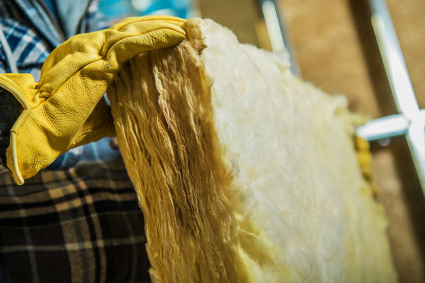 Best Insulation Maintenance and Repair in North Eagle Butte, SD